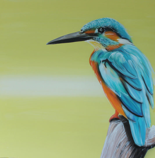 Eisvogel