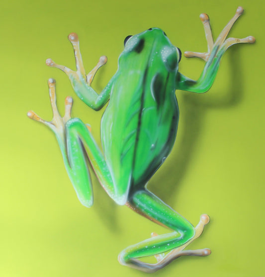 Laubfrosch